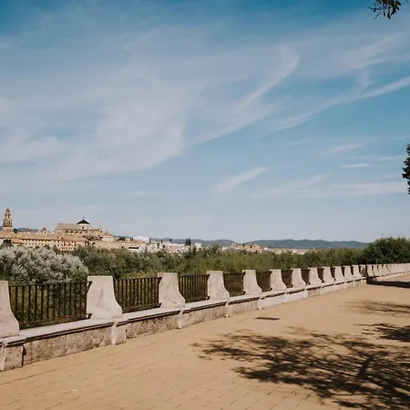 San Rafael 3 - Parking Gratuito Appartement *